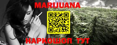 индика Можга