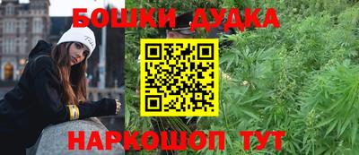 индика Можга