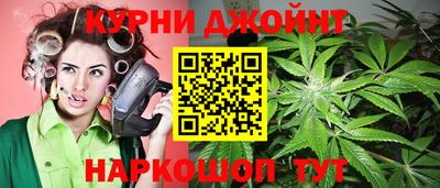 шишки Можайск